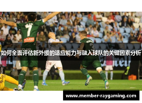 如何全面评估新外援的适应能力与融入球队的关键因素分析