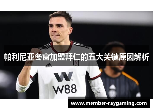 帕利尼亚冬窗加盟拜仁的五大关键原因解析