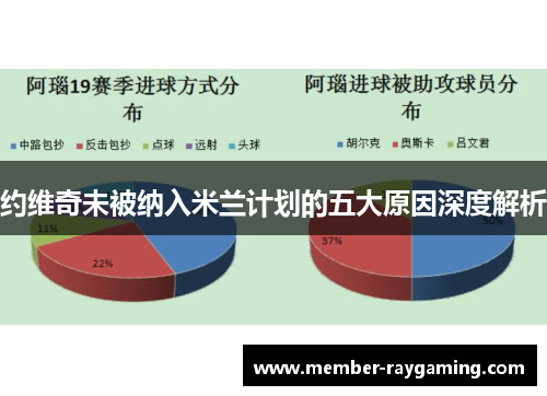 约维奇未被纳入米兰计划的五大原因深度解析