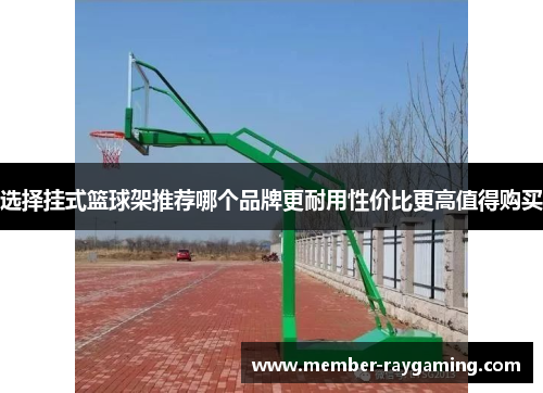 选择挂式篮球架推荐哪个品牌更耐用性价比更高值得购买