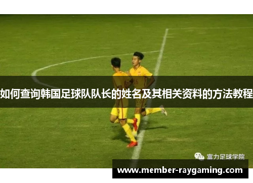 如何查询韩国足球队队长的姓名及其相关资料的方法教程