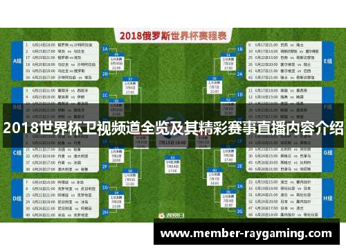 2018世界杯卫视频道全览及其精彩赛事直播内容介绍