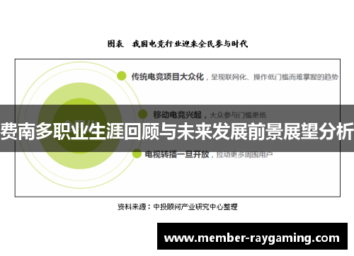费南多职业生涯回顾与未来发展前景展望分析 费南多职业生涯回顾与未来发展前景展望分析