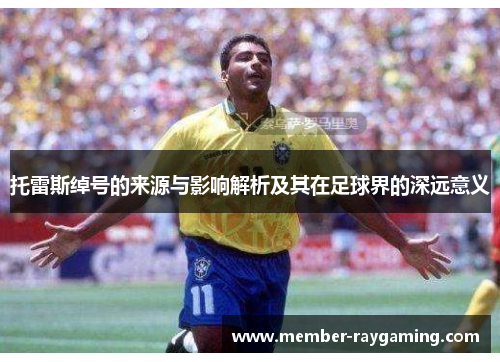 托雷斯绰号的来源与影响解析及其在足球界的深远意义