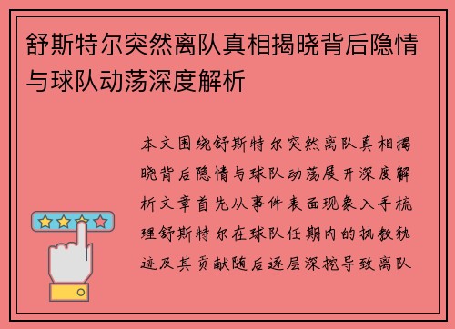 舒斯特尔突然离队真相揭晓背后隐情与球队动荡深度解析